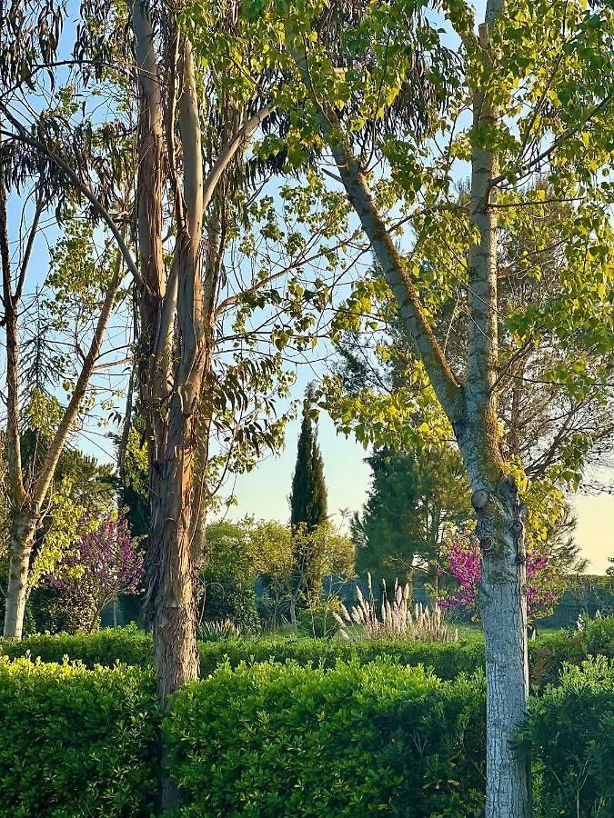 Hotel Aatu - Adults Only Peratallada 4*,